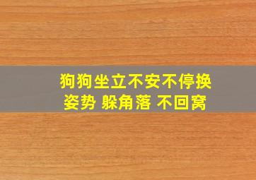 狗狗坐立不安不停换姿势 躲角落 不回窝